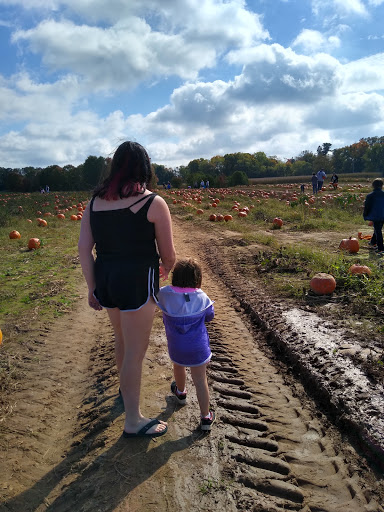 Produce Market «Solly Brothers», reviews and photos, 707 Almshouse Rd, Warminster, PA 18974, USA