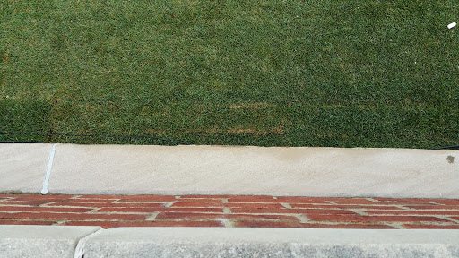 Stadium «Michigan Stadium», reviews and photos, 1201 S Main St, Ann Arbor, MI 48104, USA