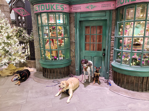 Shopping Mall «The Shops at South Town», reviews and photos, 10450 State St #2320, Sandy, UT 84070, USA