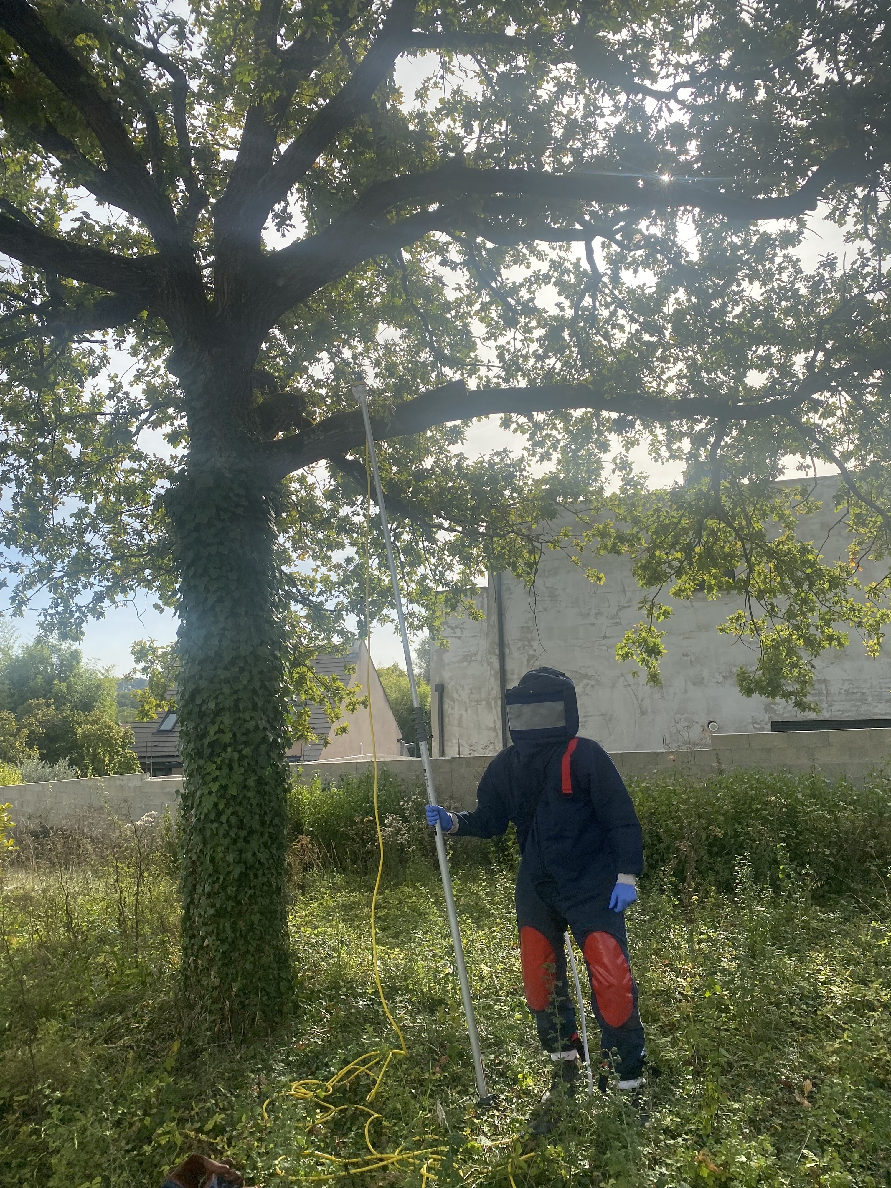Photo n° 1 de l'avis de Camille.o fait le 12/10/2023 à 05:50