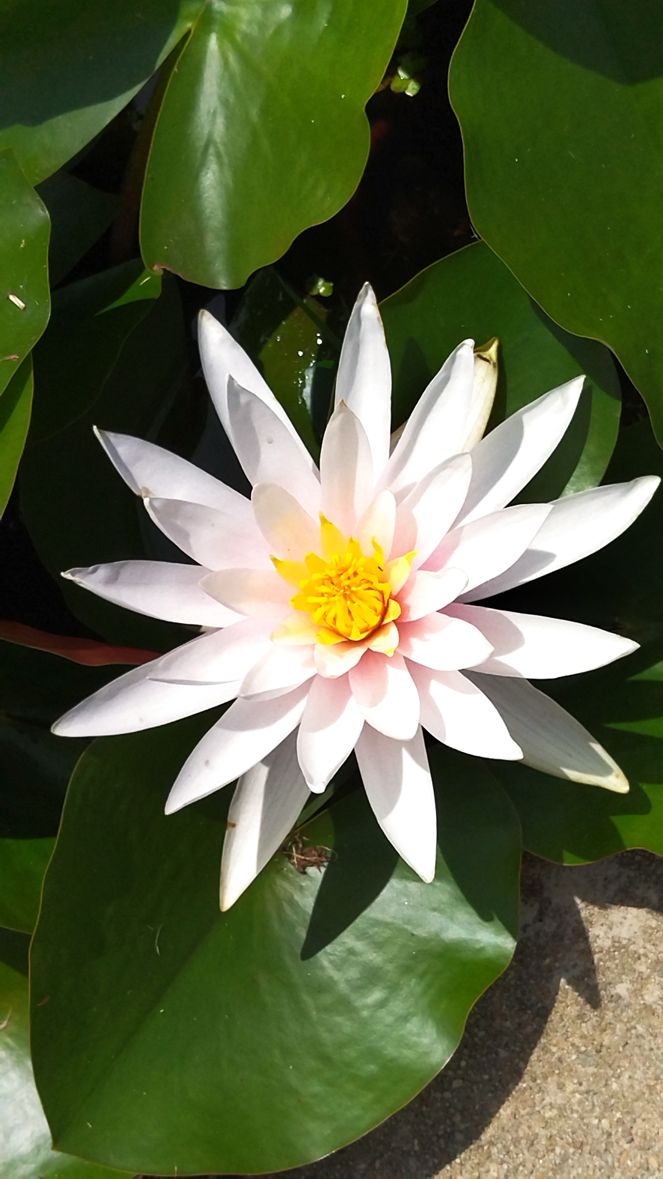 Photo n° 2 de l'avis de Laurence.a fait le 13/07/2023 à 22:46