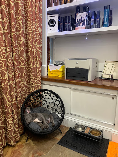 Gift Shop «Nautical Dog LLC», reviews and photos, 5104 Main St, Williamsburg, VA 23188, USA