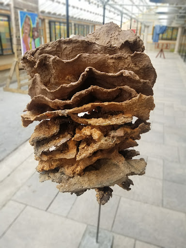 Plant Nursery «Goldner Walsh Garden and Home», reviews and photos, 559 Orchard Lake Rd, Pontiac, MI 48341, USA