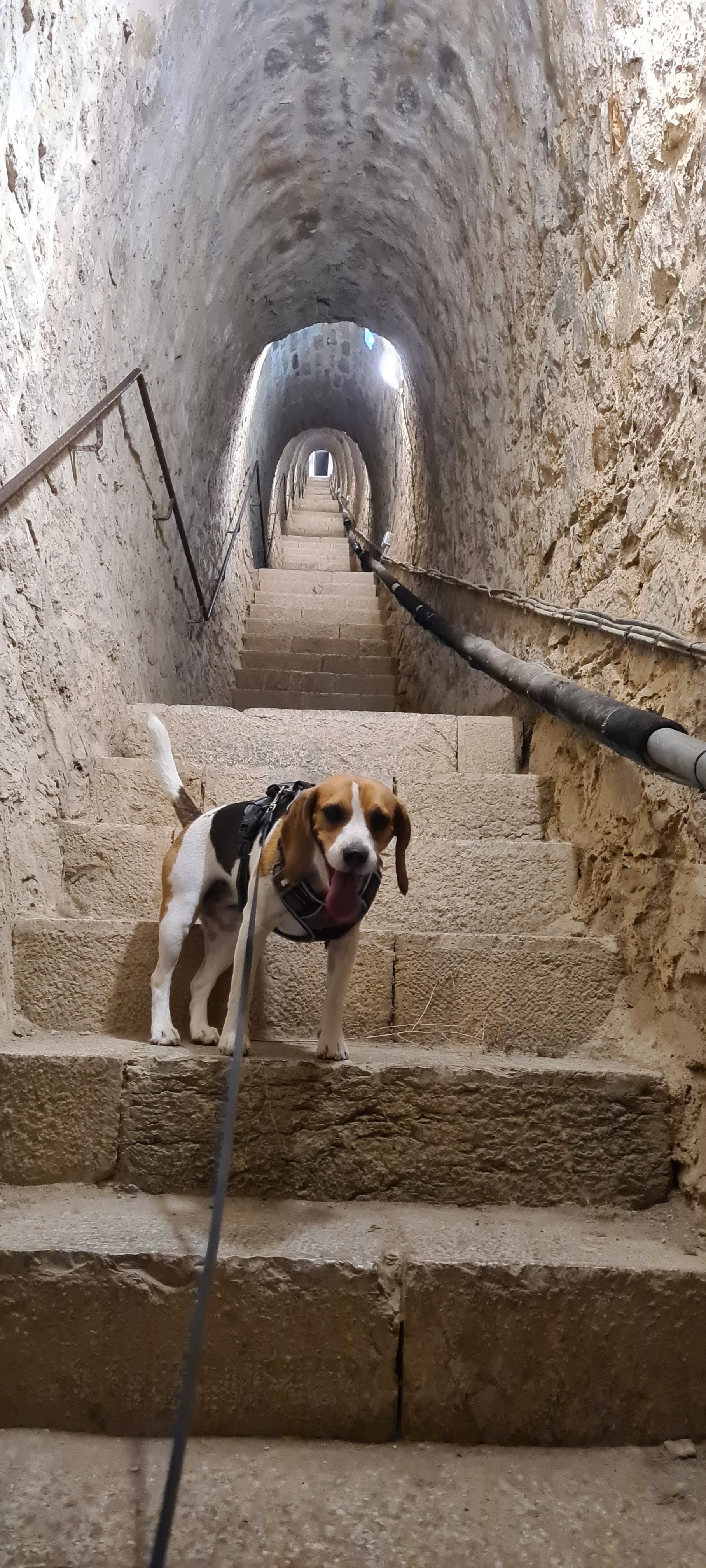 Photo n° 3 de l'avis de Iza. fait le 19/09/2022 à 18:20