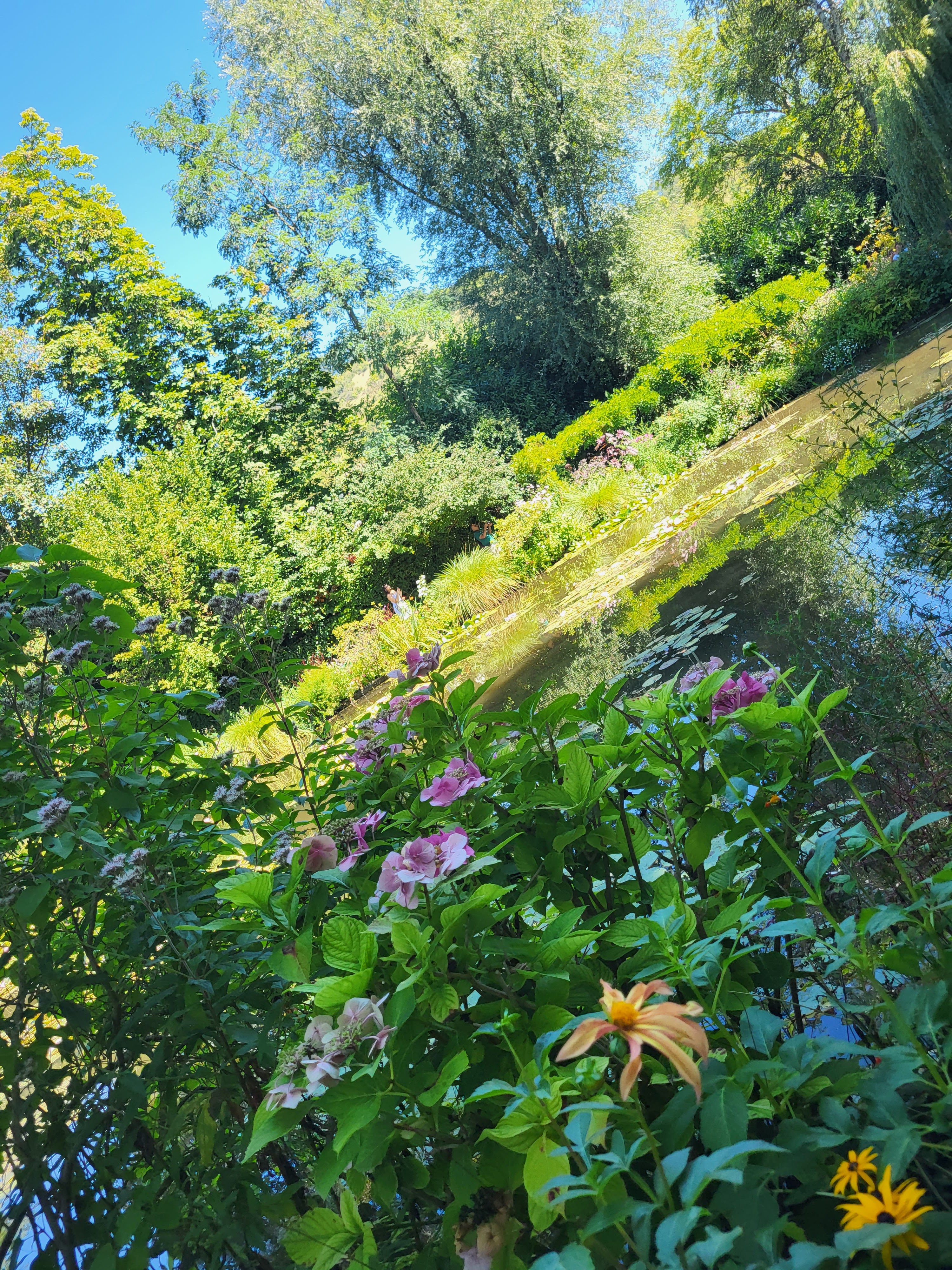 Photo n° 1 de l'avis de Virginie.a fait le 20/08/2023 à 15:52
