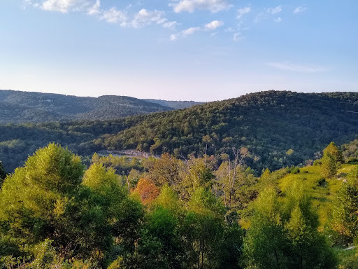 Theme Park «Silver Dollar City», reviews and photos, 399 Silver Dollar City Pkwy, Branson, MO 65616, USA
