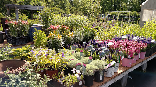 Florist «Davenport Farms», reviews and photos, 3411 US-209, Stone Ridge, NY 12484, USA