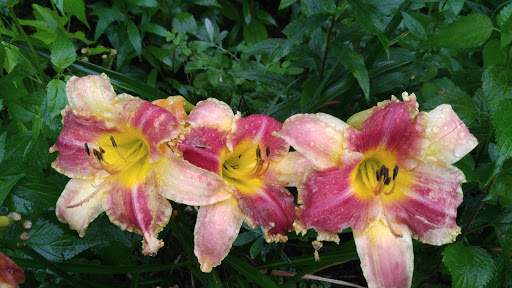 Gift Shop «Stonehedge Gardens», reviews and photos, 51 Dairy Rd, Tamaqua, PA 18252, USA