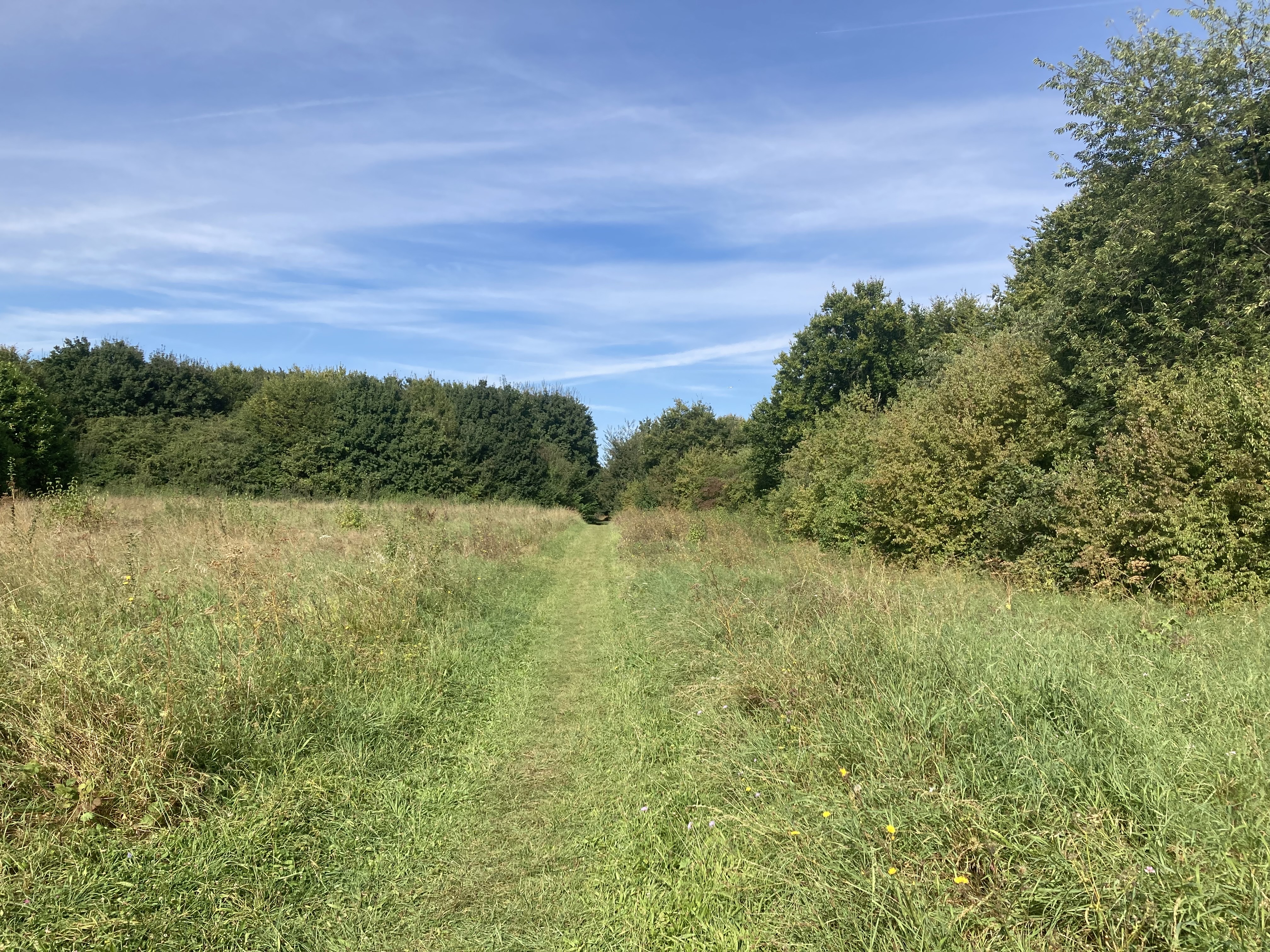 Photo n° 34 de l'avis de Cécile-Laure.H fait le 12/09/2021 à 16:29