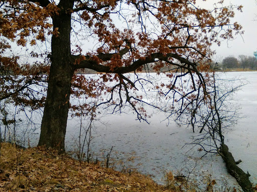 Golf Course «Island Lake Golf and Training Center», reviews and photos, 1000 Red Fox Rd, Shoreview, MN 55126, USA