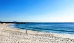 Zdjęcie Forster Beach z przestronna plaża