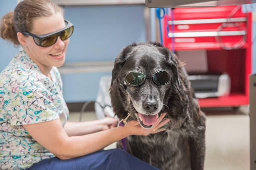 Town and Country Animal Hospital image