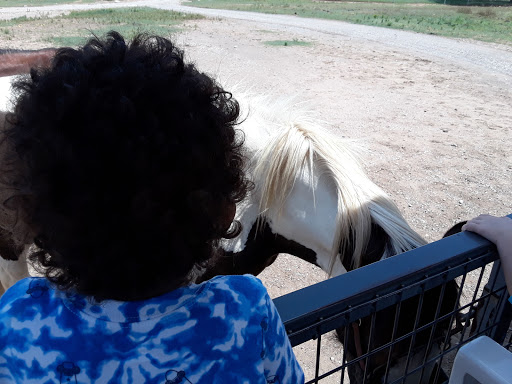 Ranch «Sharkarosa Wildlife Ranch», reviews and photos, 11670 Massey Rd, Pilot Point, TX 76258, USA