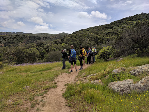 National Park «Channel Islands National Park», reviews and photos