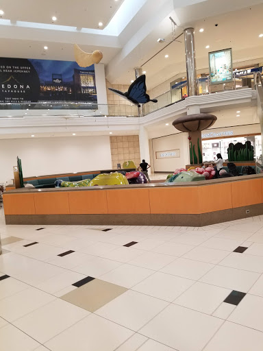 Pet Adoption Service «Petland Novi», reviews and photos, 27200 Novi Rd # A, Novi, MI 48377, USA