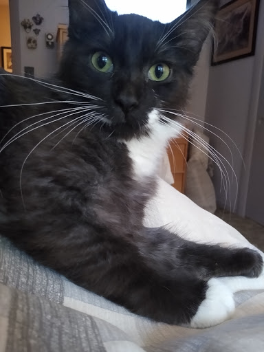 Pet Supply Store «PetSmart», reviews and photos, 2 Bourne Bridge Approach #2, Bourne, MA 02532, USA