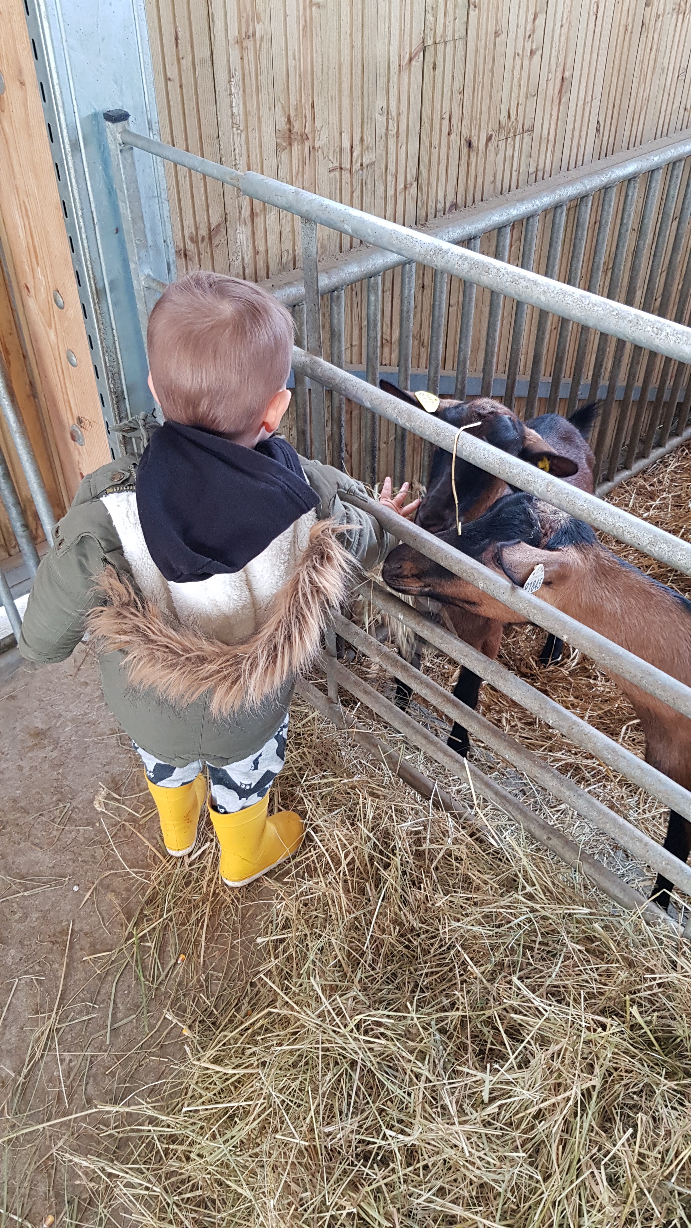 Photo n° 3 de l'avis de thibaut.t fait le 09/12/2020 à 13:51