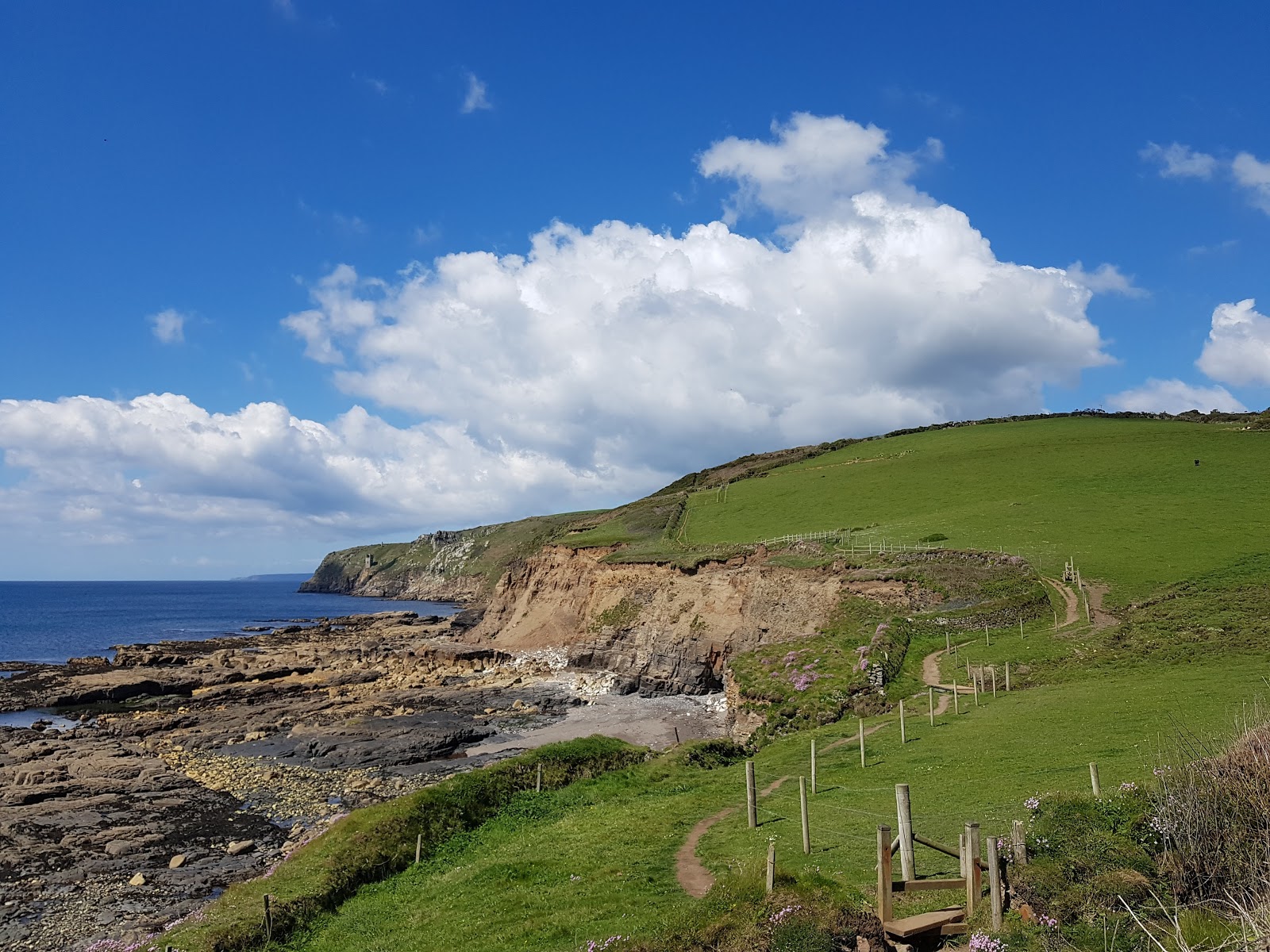 Photo de Nichols Cove avec un niveau de propreté de très propre