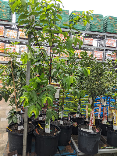 Home Improvement Store «The Home Depot», reviews and photos, 1590 W 49th St, Hialeah, FL 33012, USA