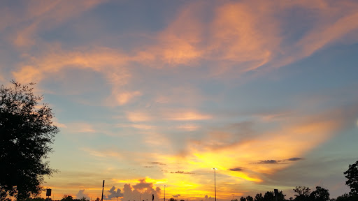 Department Store «Walmart Supercenter», reviews and photos, 28270 Walker South Rd, Walker, LA 70785, USA