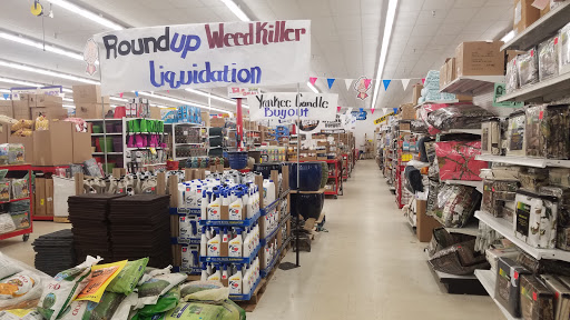 Ollie's Bargain Outlet