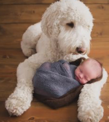 Maternity Store «3D 4 Baby Ultrasound Boutique», reviews and photos, 1831 E Broad St #205, Mansfield, TX 76063, USA