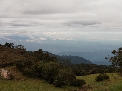 Antenas De Manjuy