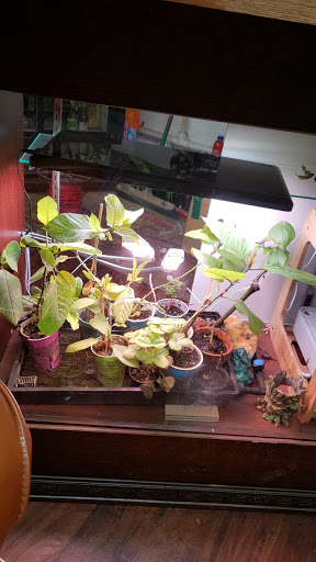 Cigar Shop «Royal Cigar and Tobacco», reviews and photos, 1512 Roswell Rd B, Marietta, GA 30068, USA