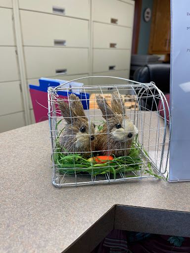 Optometrist «Park Family Eye Care», reviews and photos, 9 S Lincolnway St, North Aurora, IL 60542, USA