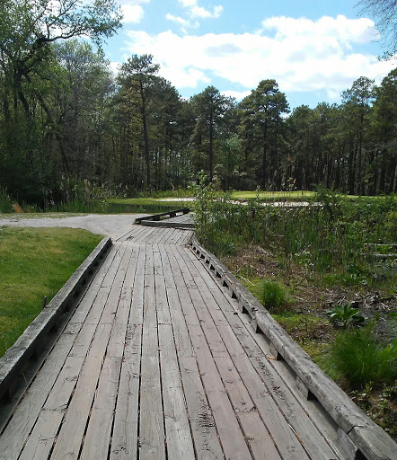 Nature Preserve «Black Run Preserve», reviews and photos, Kettle Run Rd, Evesham Township, NJ 08053, USA