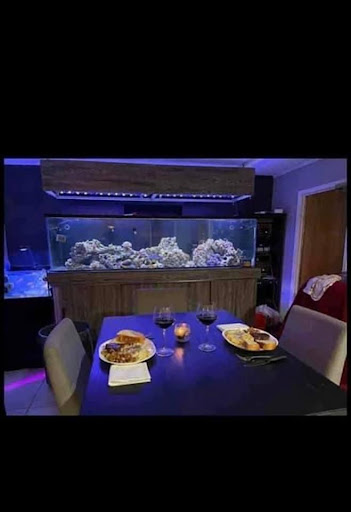 Tropical Fish Store «Glasscages.com LLC», reviews and photos, 1500 E Piney Rd, Dickson, TN 37055, USA