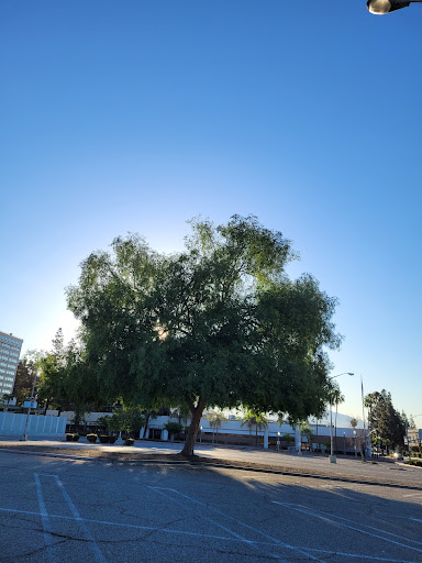 Shopping Mall «Carousel Mall», reviews and photos, 295 Carousel Mall, San Bernardino, CA 92401, USA