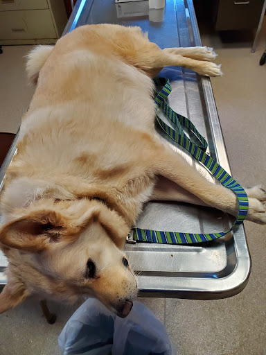 Tri County Animal Clinic image