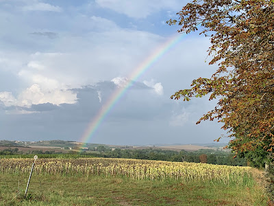 Domaine de Buscail à Mazerolles-du-Razès