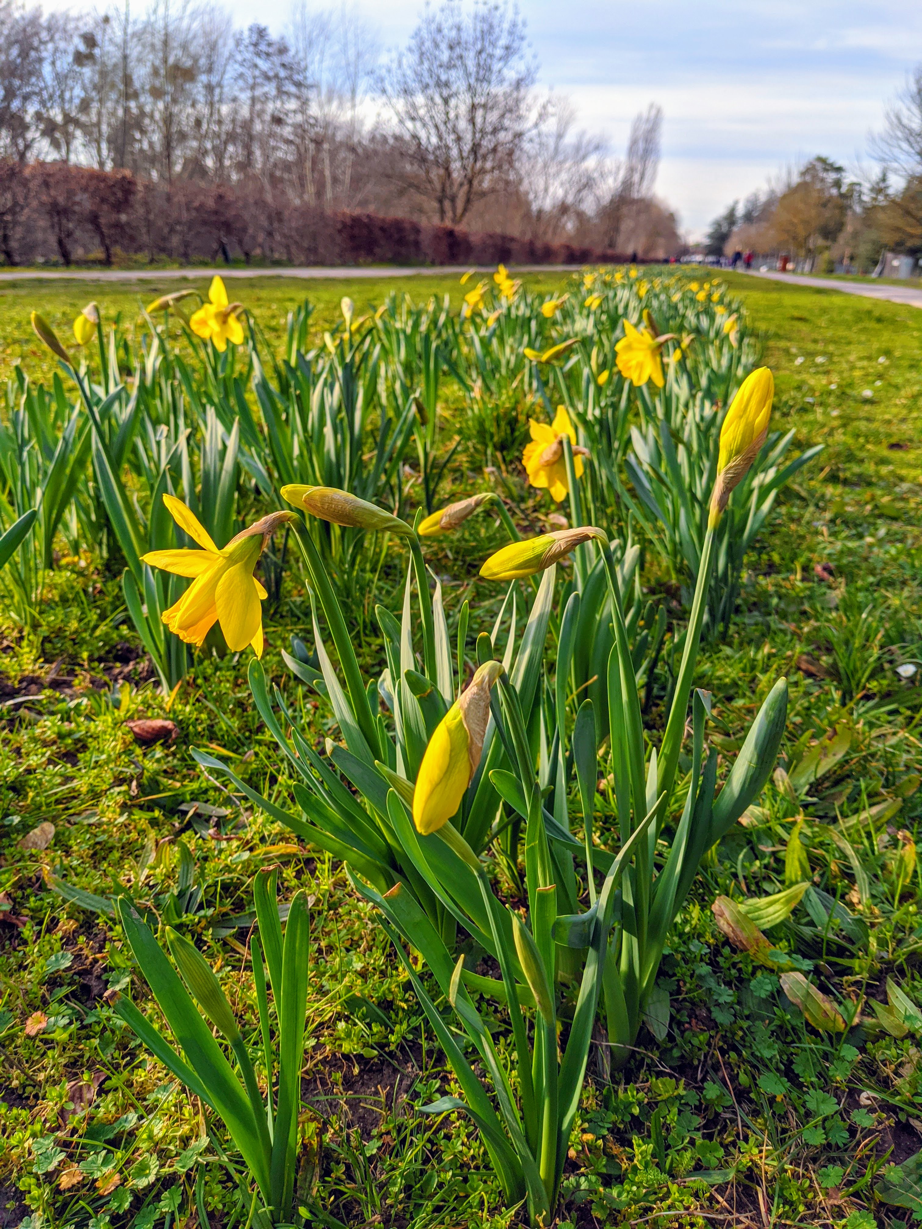 Photo n° 2 de l'avis de Jean-Michel.U fait le 31/10/2021 à 20:19