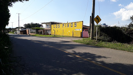 Motel Los Pinos