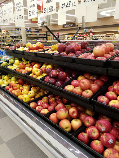 Grocery Store «Ingles Markets», reviews and photos, 1550 W Main St, Centre, AL 35960, USA