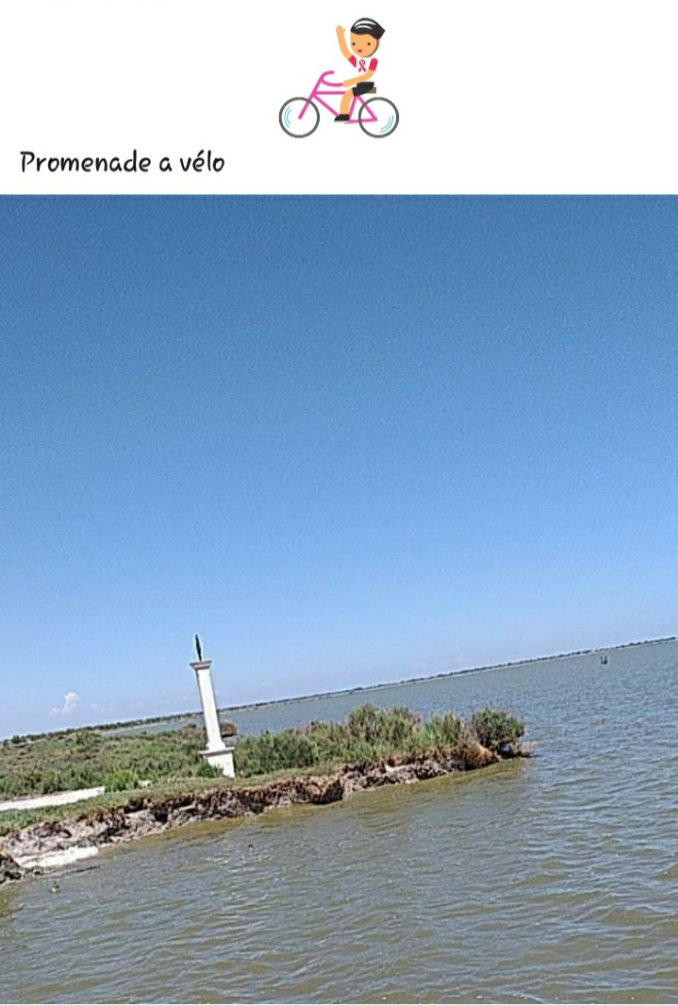 Photo n° 1 de l'avis de dono.e fait le 02/06/2019 à 18:12