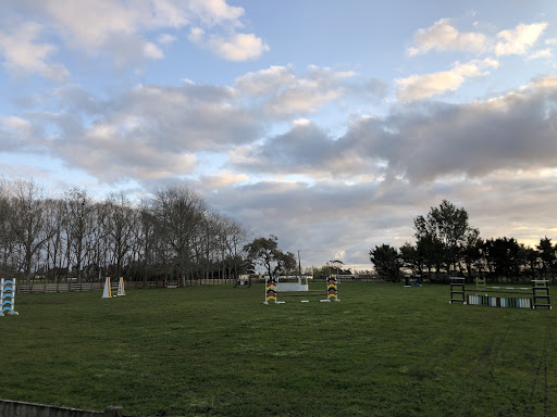 Pony Express NZ - Riding School