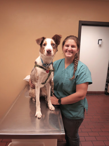 Rock Veterinary Clinic image