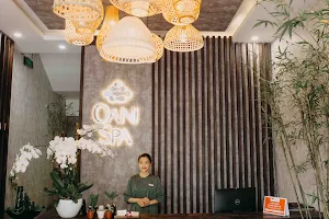 Oani Spa Da Nang image