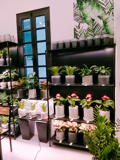 Cửa hàng hoa Lilymag Flower&Garden Vietnam