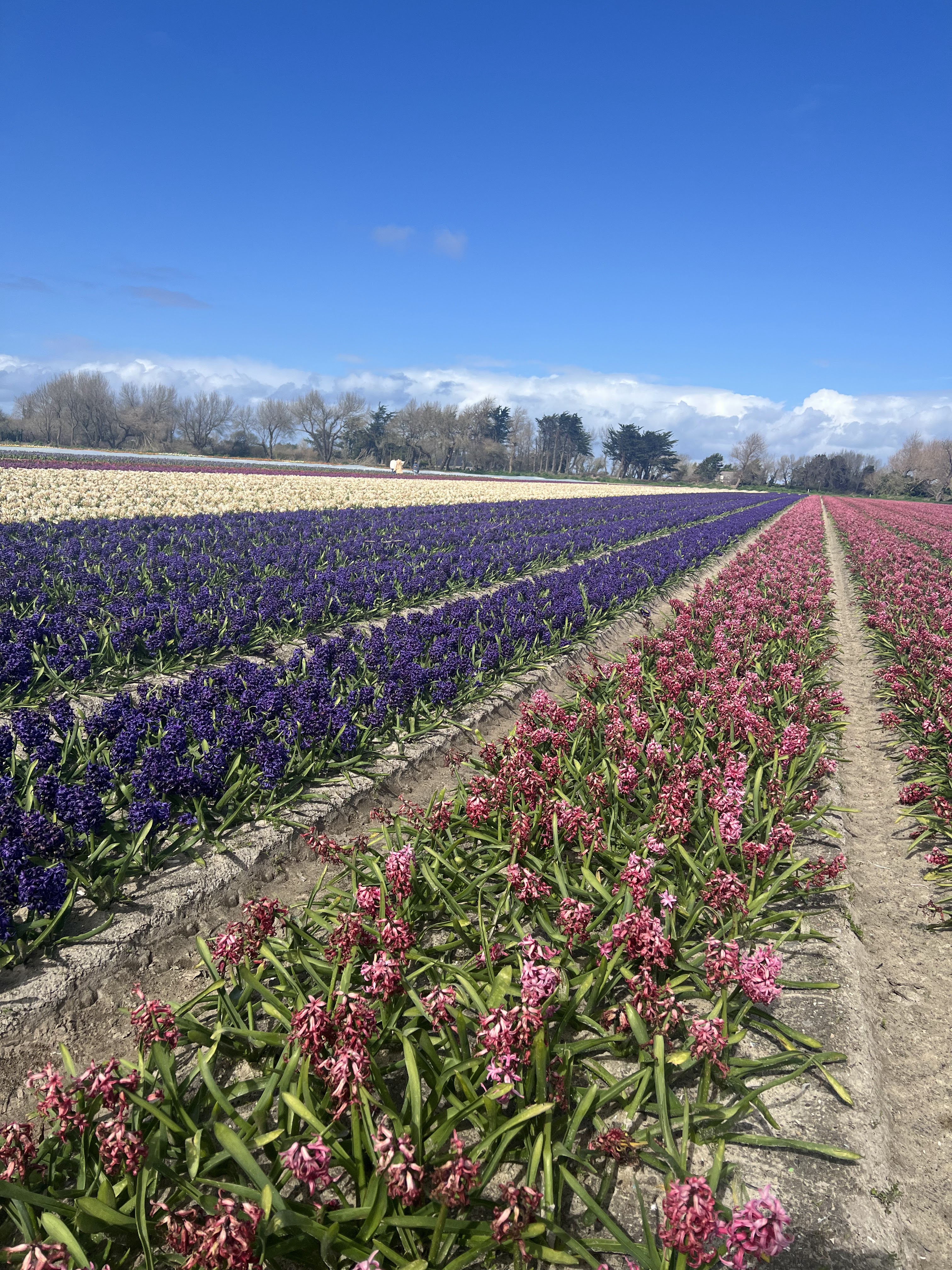 Photo n° 4 de l'avis de Camille. fait le 24/03/2024 à 18:29