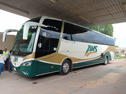 Autobuses Norte de Sinaloa ANS Navojoa