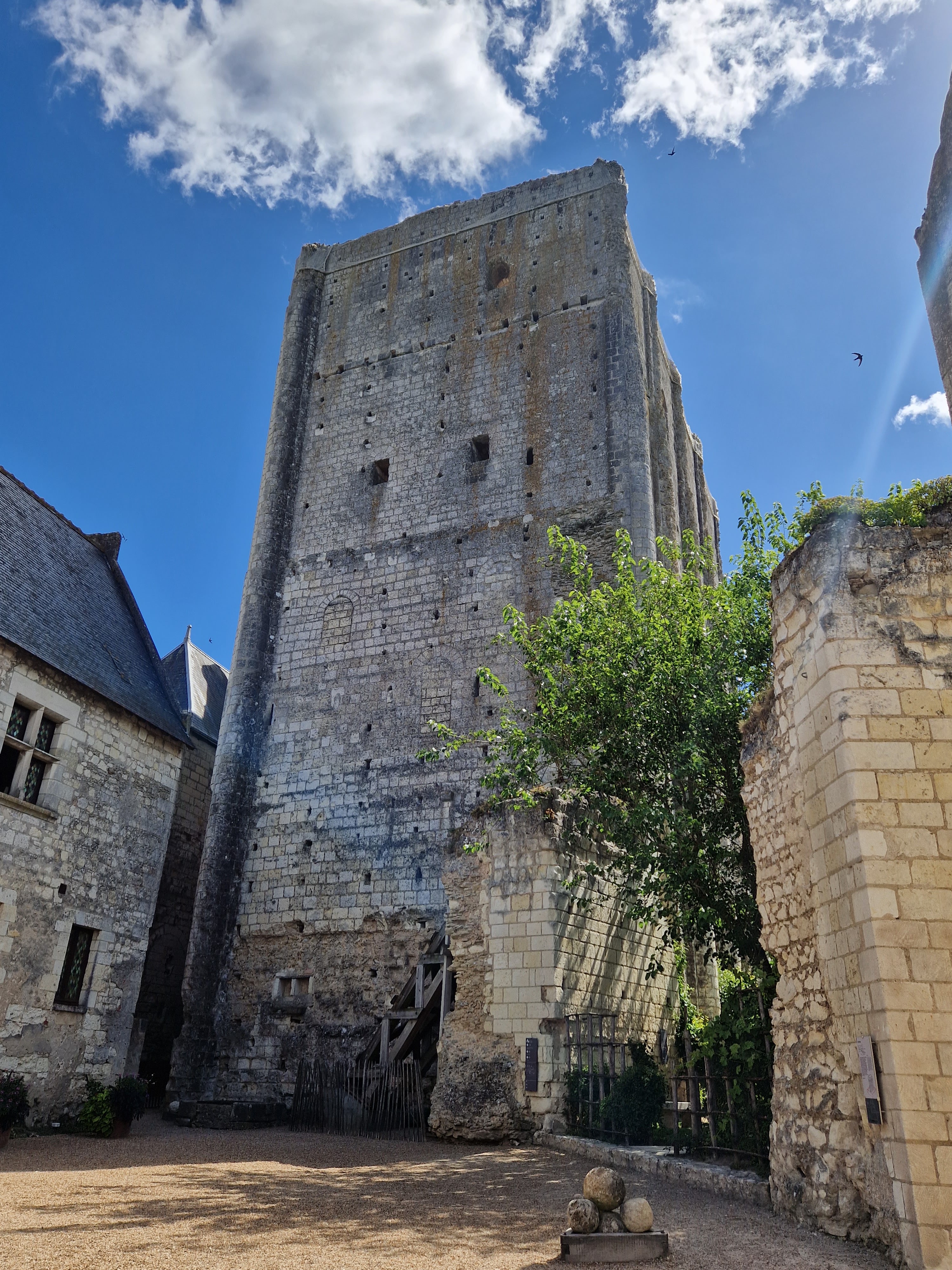 Photo n° 5 de l'avis de Zephiro.n fait le 17/07/2023 à 21:09