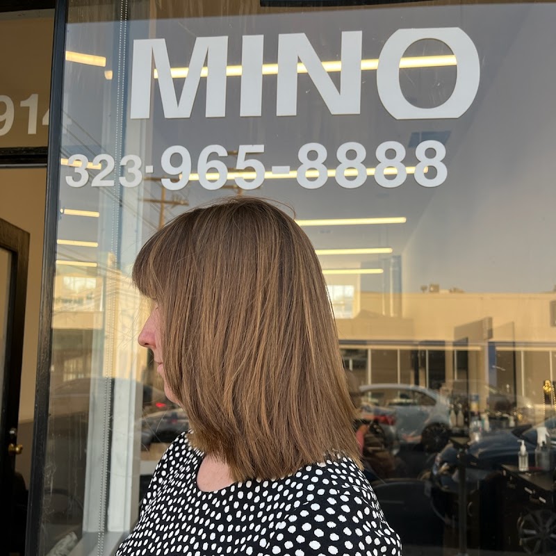 Mino Salon