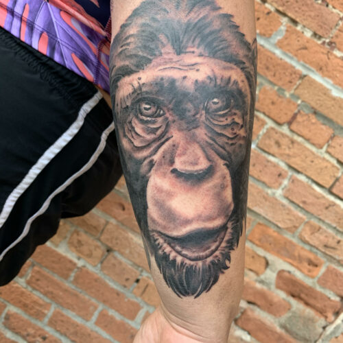 Tattoo Shop «Cactus Tattoo», reviews and photos, 307 N Riverfront Dr, Mankato, MN 56001, USA