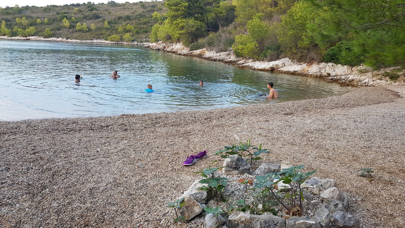 Foto van Dijana beach wilde omgeving