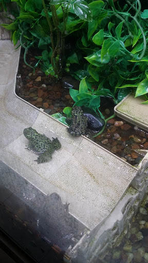 Pet Supply Store «Paws & Claws & Co», reviews and photos, 1801 E Market St, Warsaw, IN 46580, USA