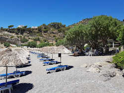 Paralia Achlion'in fotoğrafı çok temiz temizlik seviyesi ile